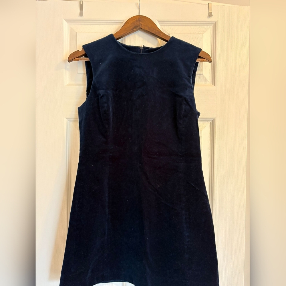 Zara Navy Sleeveless Mini Dress